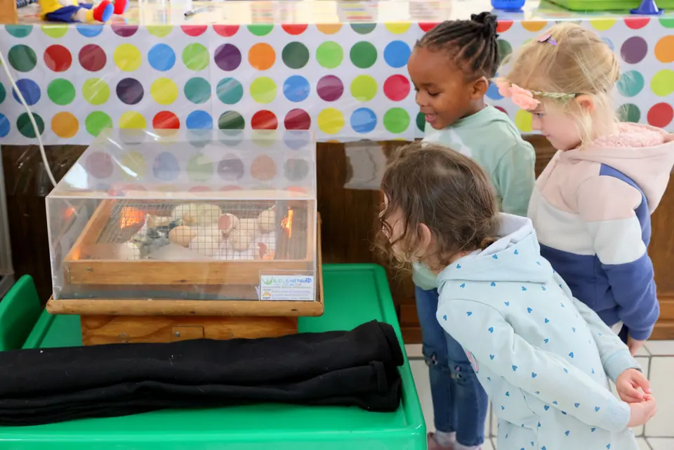 Children gathered around a glass tank on a classroom table